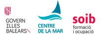 logo-centre